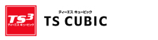 TS CUBIC CARD